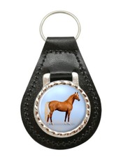 Palomino Cavallo Pelle