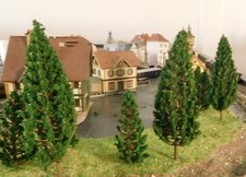 6 Verde Scuro Abeti, Conifere