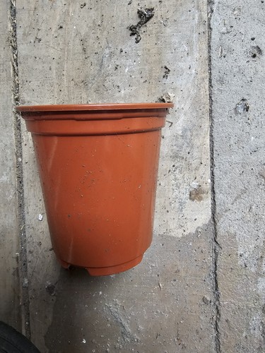 Vasi per piante - vasi, in