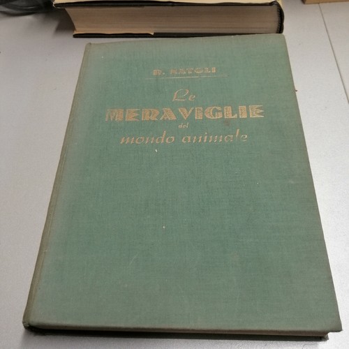 Meraviglie del mondo - meraviglie,