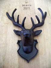 Testa di cervo con corna