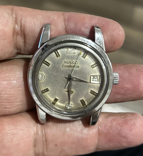 Orologio uomo automatico mulco - orologio,