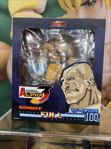 Storm arena street fighter - storm,