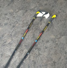 Bastoncini da sci/sci di fondo