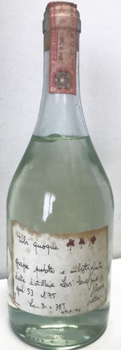 Romano levi tibi quoque - "tibi,