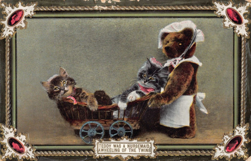 Wildt kray cat - cat, postcard