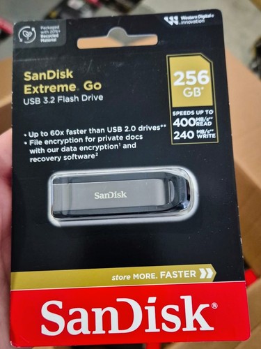 Sandisk 256 extreme go - 256,