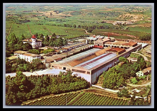 Cartolina cavas codorniu - cavas,