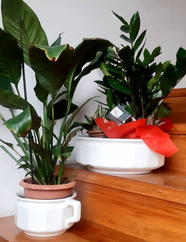 Bacile catino vaso - bacile,