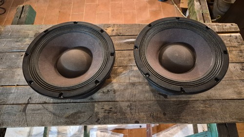 Coppia midwoofer beyma 10mi100 - coppia,