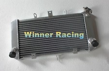 Radiatore in alluminio Fit