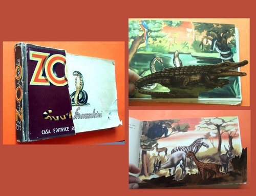 Pop zoo casa - _,