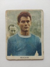 figurina Orvedo cartonata