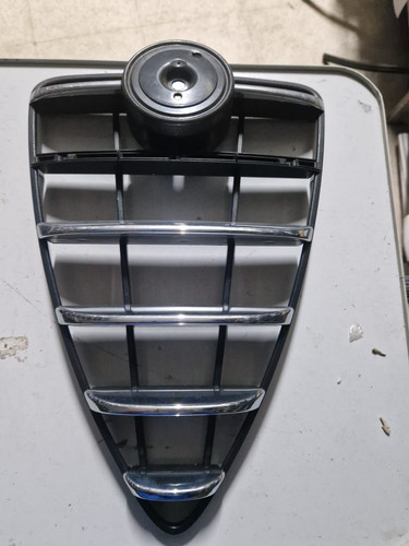 Griglia radiatore scudo ant - radiatore,
