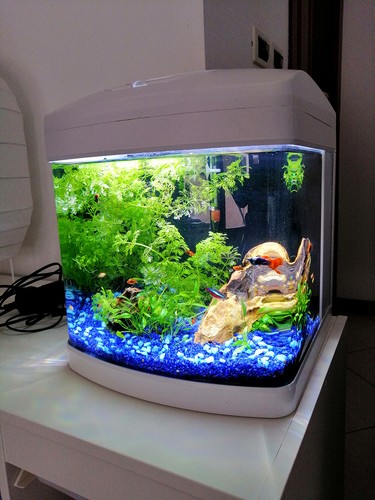 Acquario amtra xcube led - acquario,