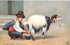 Tuck Postcard Wide Wide World