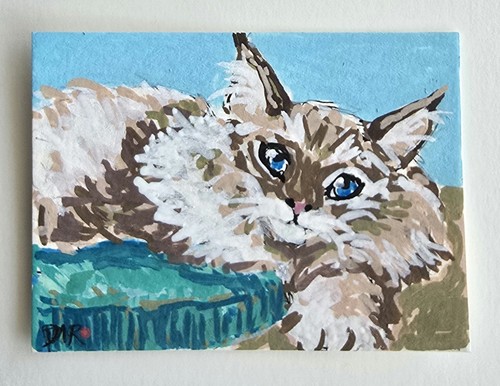 Originale aceo cat - aceo, main