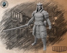 Samurai Con Pesante Armatura