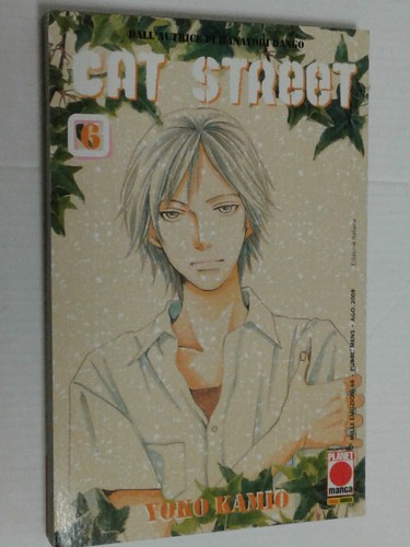 Cat street di yoko - -di,