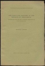 Reinhardt Thiessen / Vascular