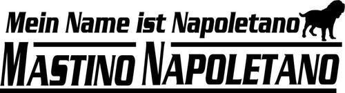 Mio nome mastino - nome,