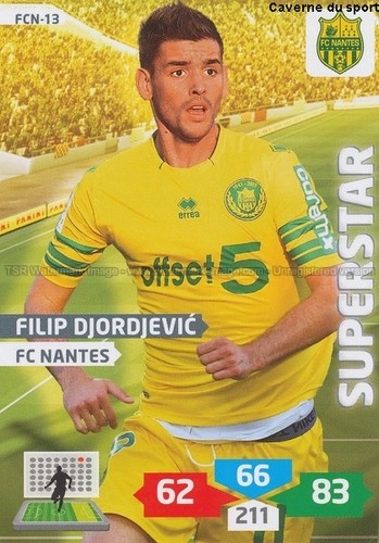 Fcn filip djordjevic - fcn-13,