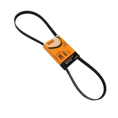Contitech cintura più coste - cintura,
