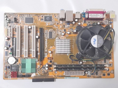 Scheda madre asus - madre,