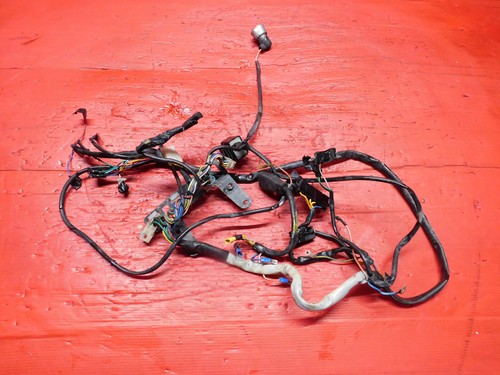Impianto elettrico cagiva w16 - cagiva,
