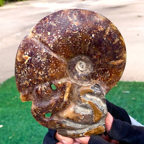 Libbre raro tentacolo - raro!,