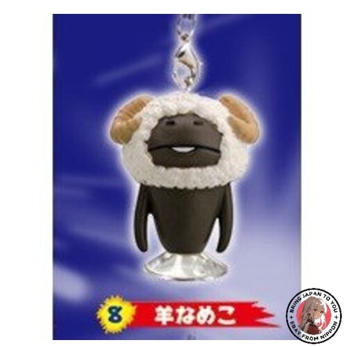 Nuovo kit coltivazione funghi - kit,