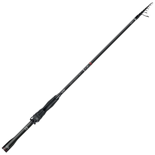 Canna rapture big - canna,