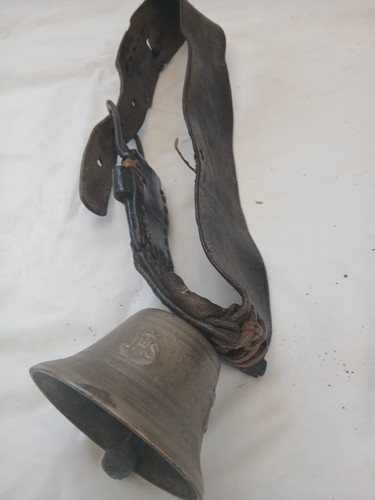 C1900 large bronze cow - large,