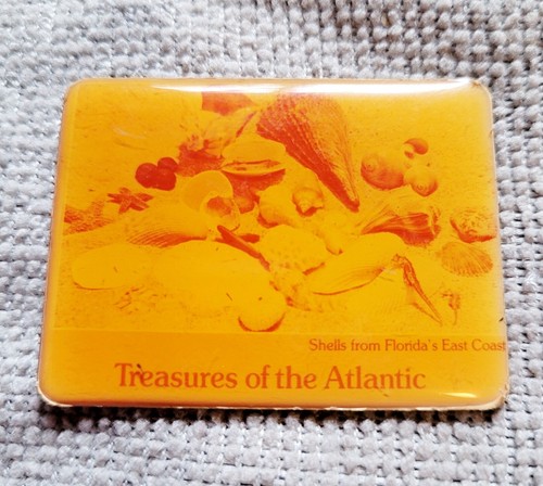 Calamita frigorifero treasures - calamita,