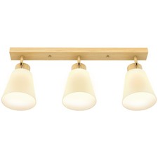 HOMCOM Lampada da Soffitto con