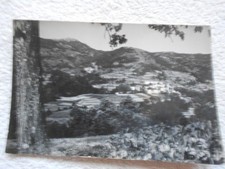 ALPICELLA  Val d'Aveto -