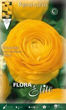 Bulbi autunnali ranunculus - bulbi,