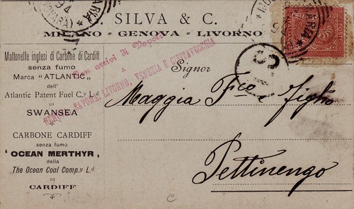 Milano testatina silvia - testatina-g., &