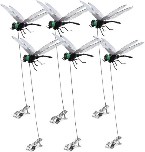 Confezione clip libellula - clip, libellula,3d
