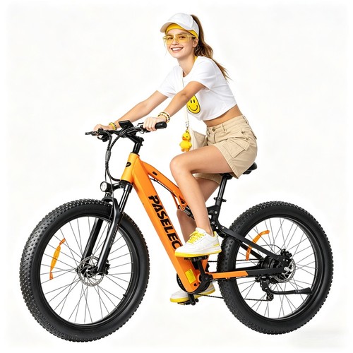 Bicicletta elettrica ebike - bicicletta,