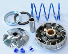 241.672 VARIATORE POLINI