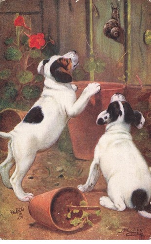 Cane 25153 jack russell due - cane, #25153