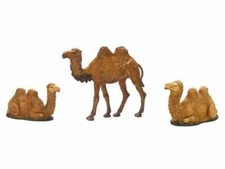 3 cammelli per Pastori da