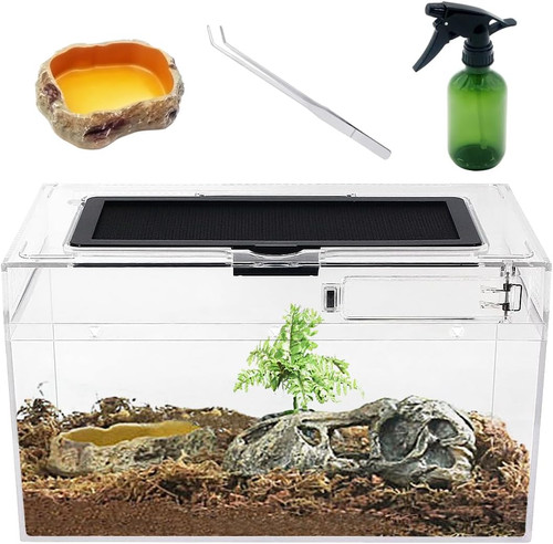 Terrario kit 7 x - terrario, kit,