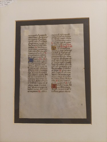 Manoscritto miniato - manoscritto,
