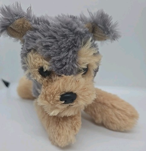 Aurora yorkshire terrier - aurora,