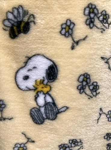 Coperta peanuts snoopy hugging - coperta,