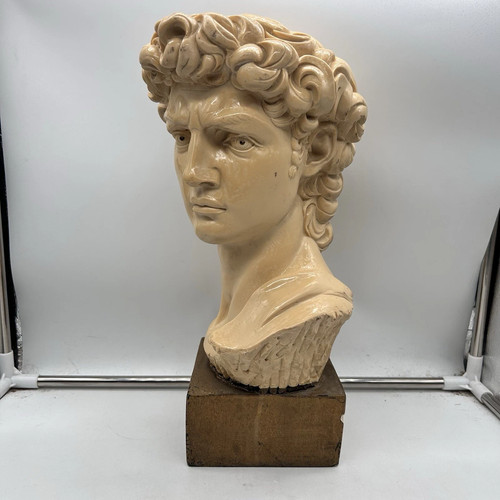 Scultura mezzobusto david - mezzobusto, di