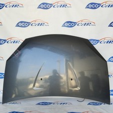 Cofano grigio canna di fucile Dacia Sandero 2010 ecoAG2614