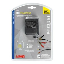 MANTENITORE ALLENATORE